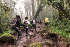 6 days Marangu Route