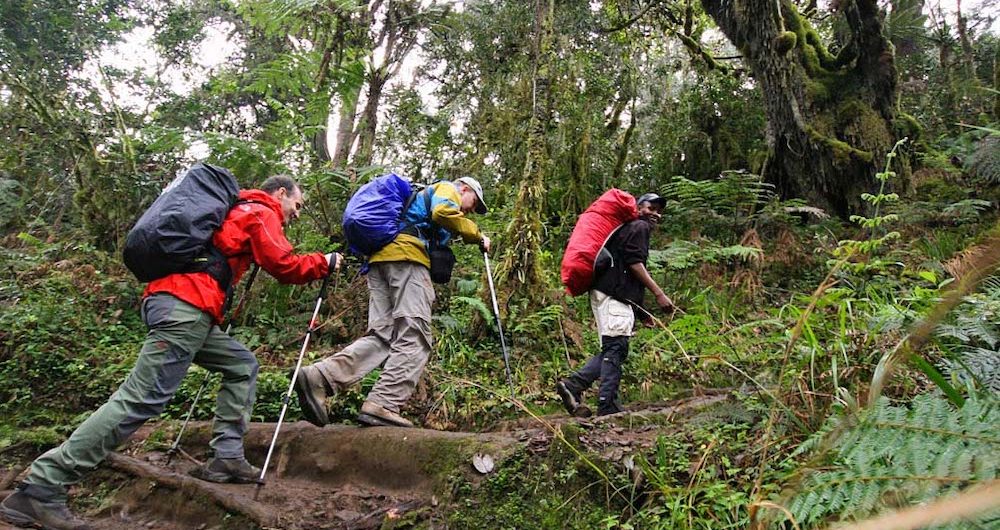 Best Route for Kilimanjaro Climbing