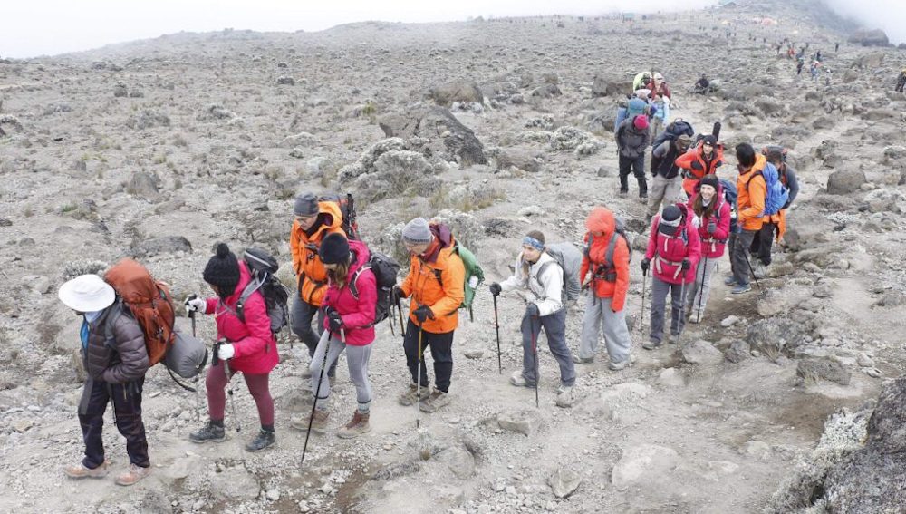 What to know Kilimanjaro climbing