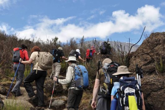 7 Days Lemosho Route