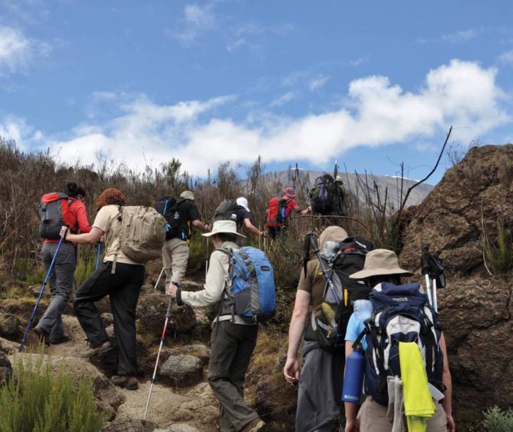 7 Days Lemosho Route