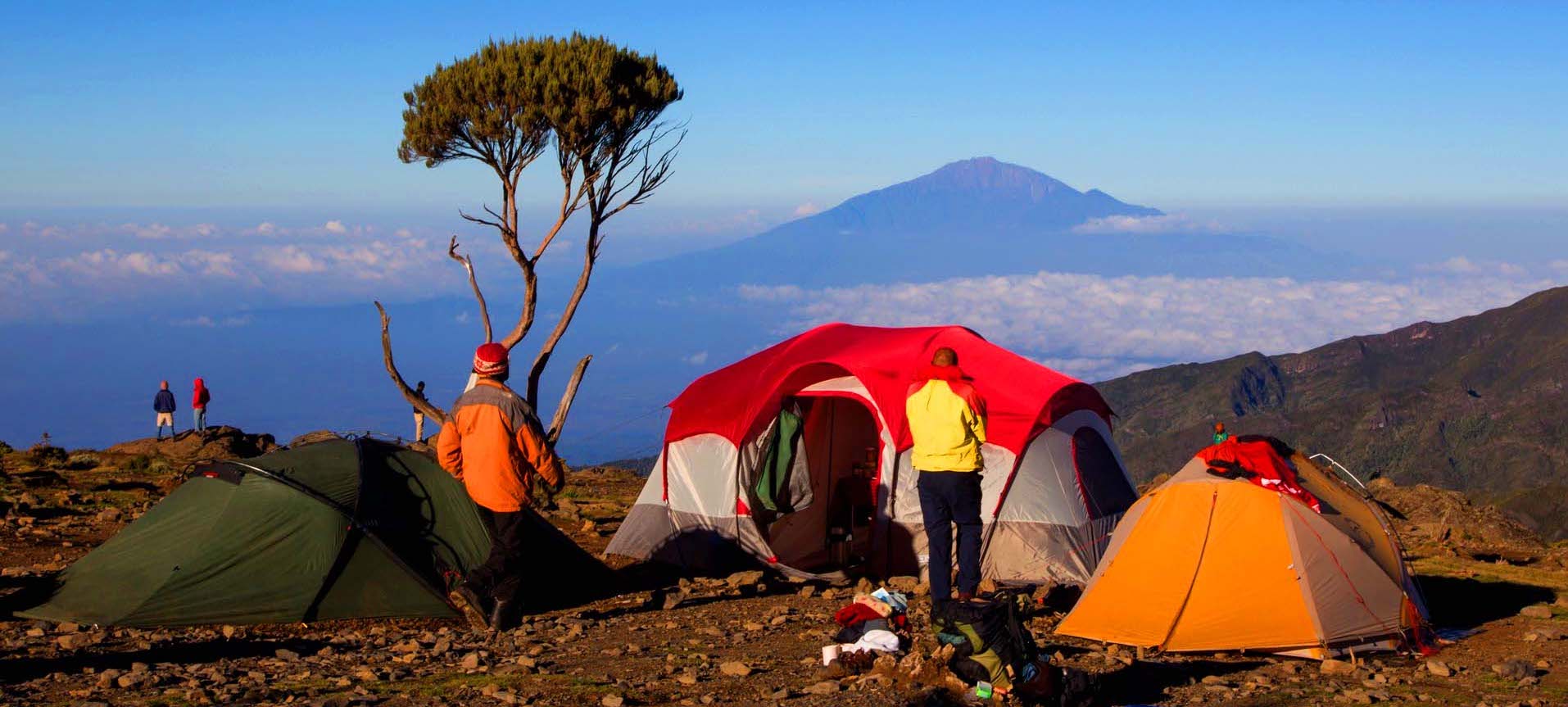 About Kilimanjaro Climbing | Kilimanjaro Climbing Company