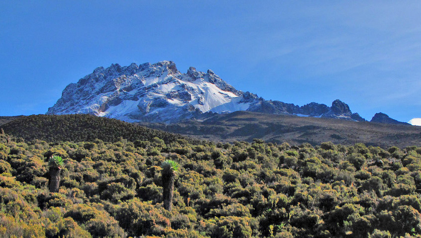 Rongai Route, Mount Kilimanjaro