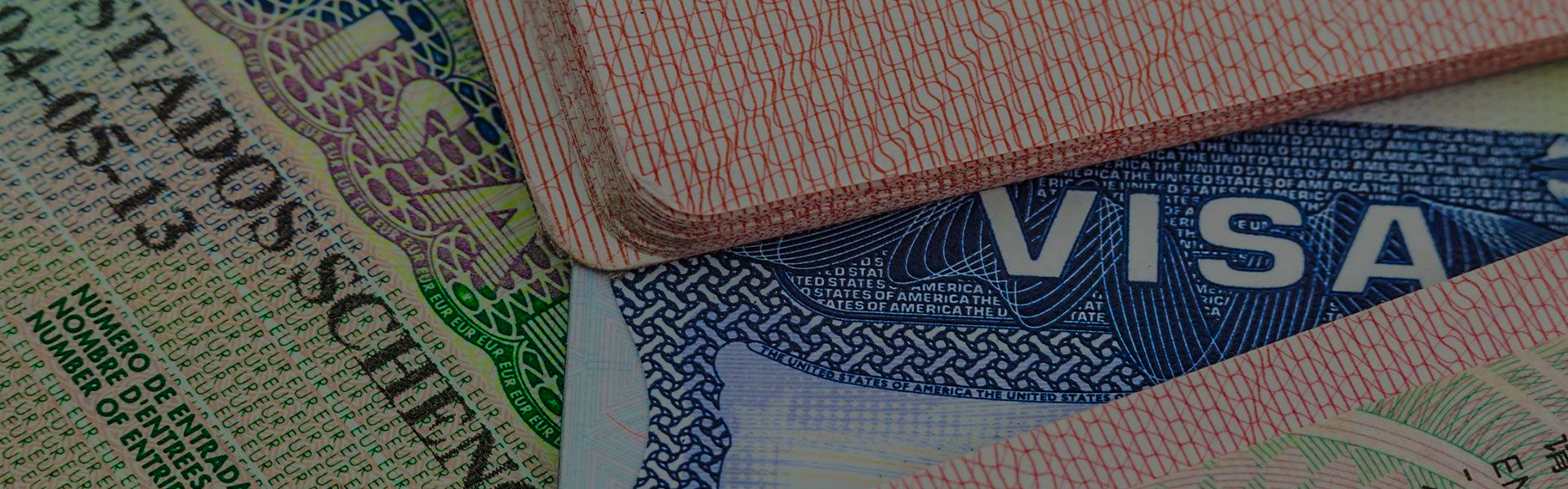 Passport and Visa Verification in Tanzania