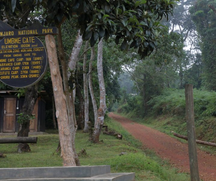 Umbwe Gate Entrance to Mt Kilimanjaro via Umbwe Route